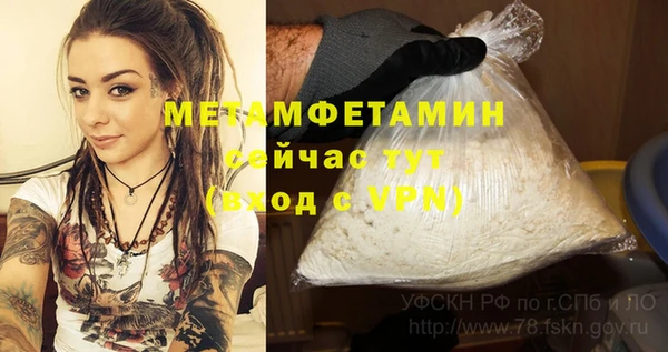 метадон Богданович