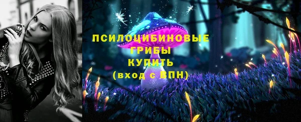 метадон Богданович