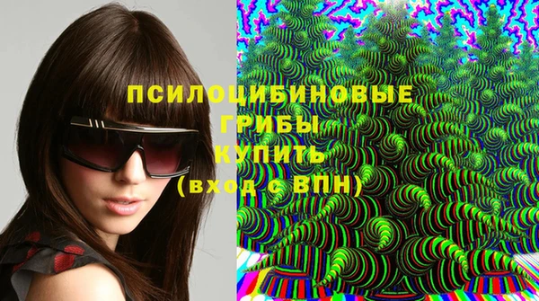 метадон Богородицк