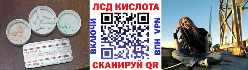 дарк нет состав  ОМГ ОМГ онион  Бийск  купить наркотик  Лсд 25 экстази ecstasy 