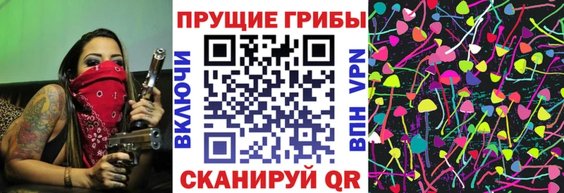 Галлюциногенные грибы GOLDEN TEACHER  Бийск 
