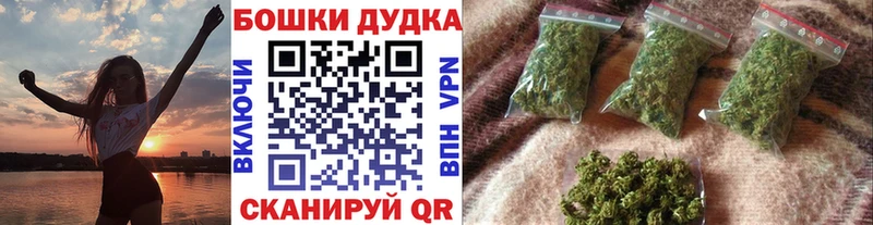 где найти   Бийск  МАРИХУАНА OG Kush 